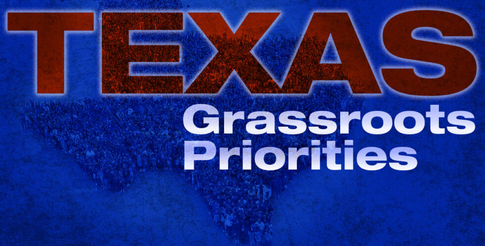 Video Grassroots Priorities We The People Liberty In Action 6190